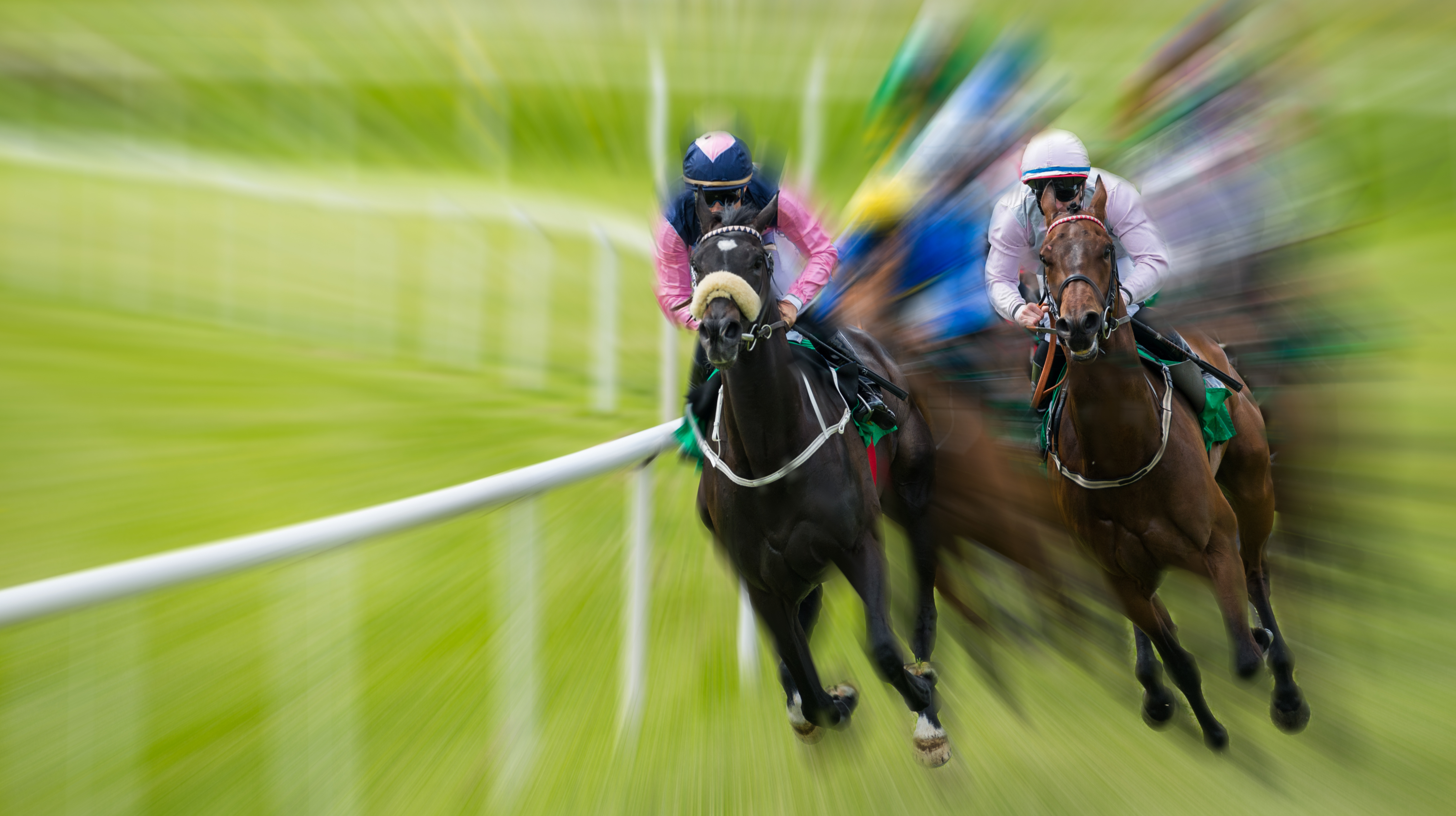 online horse racing platform